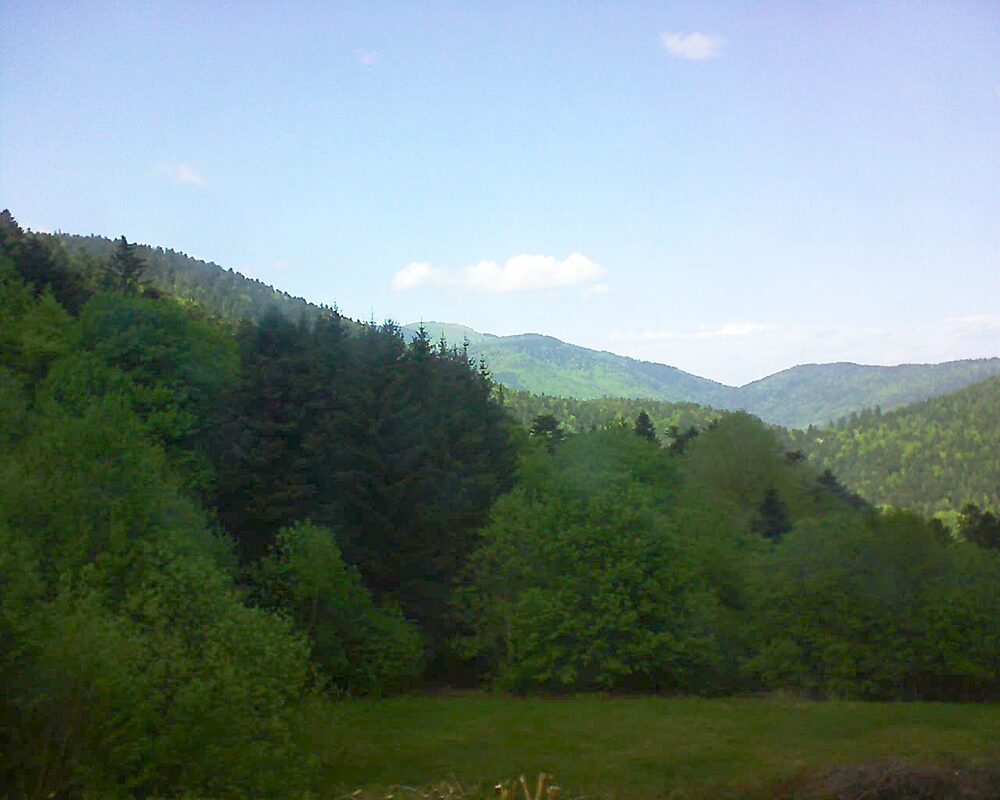 Le petit ballon vu depuis le Domaine Langmatt à Murbach le 03.05.2025 à 14:45 Le petit ballon (Alsace, Vosges) le 03.05.2025 à 14:45