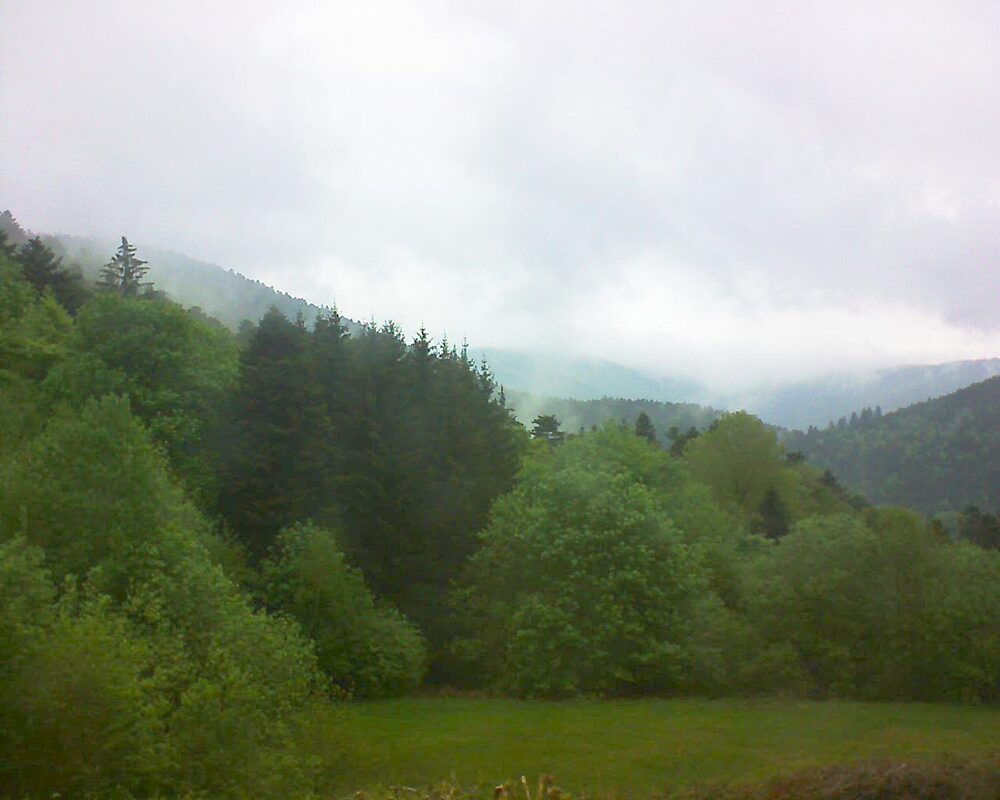Le petit ballon (Alsace, Vosges) le 04.05.2025 à 16:45