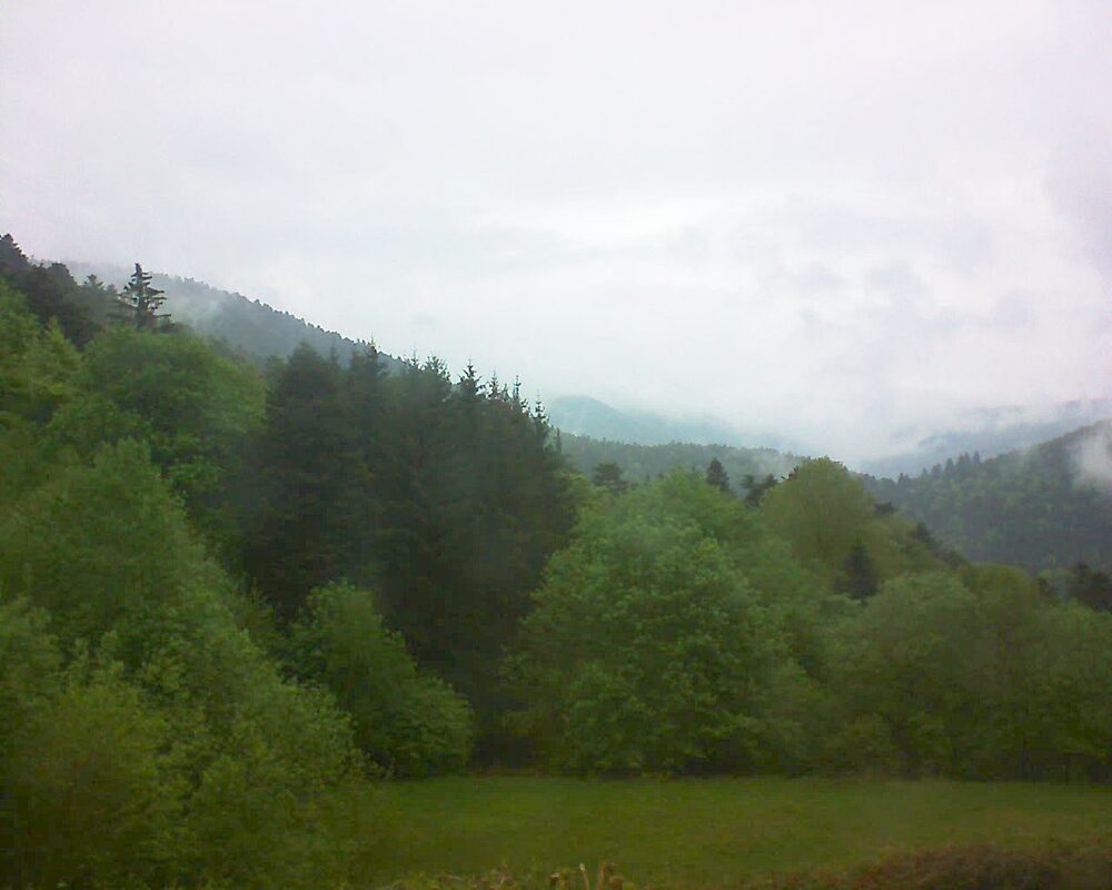 Le petit ballon (Alsace, Vosges) le 04.05.2025 à 17:30