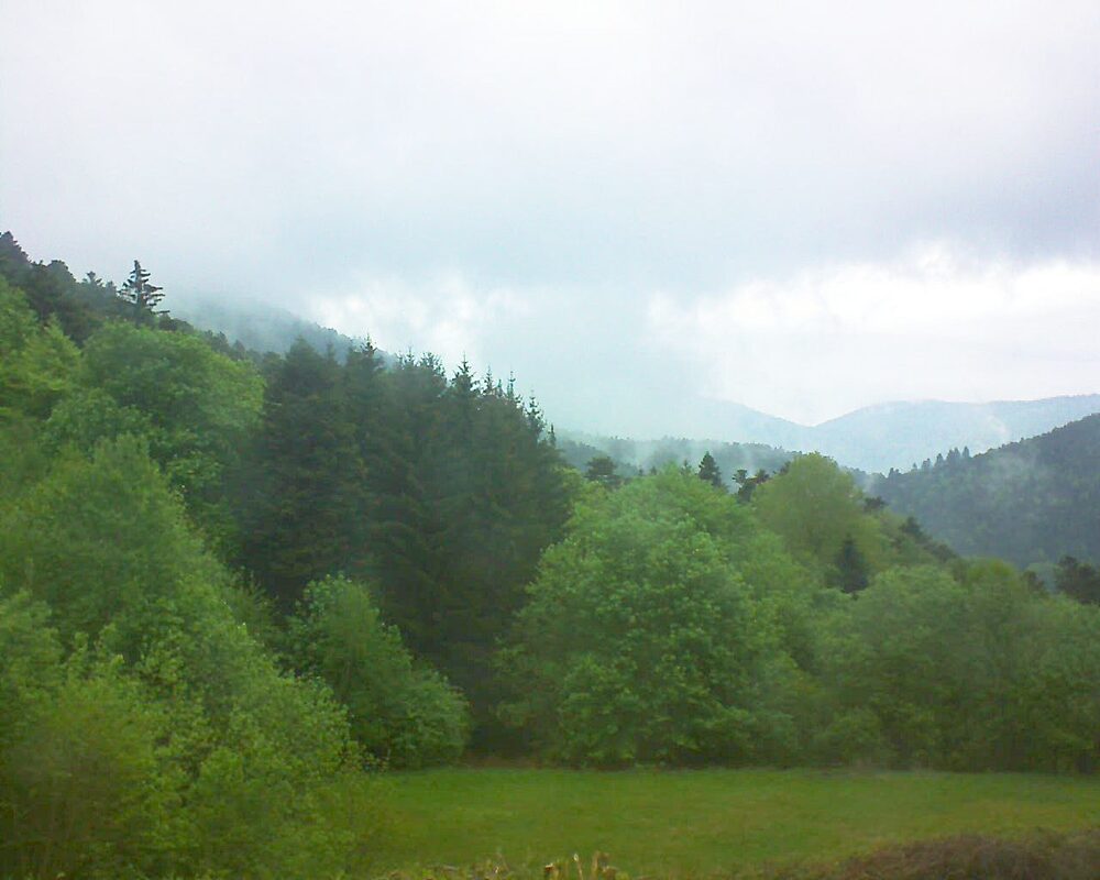 Le petit ballon vu depuis le Domaine Langmatt à Murbach le 04.05.2025 à 19:30 Le petit ballon (Alsace, Vosges) le 04.05.2025 à 19:30