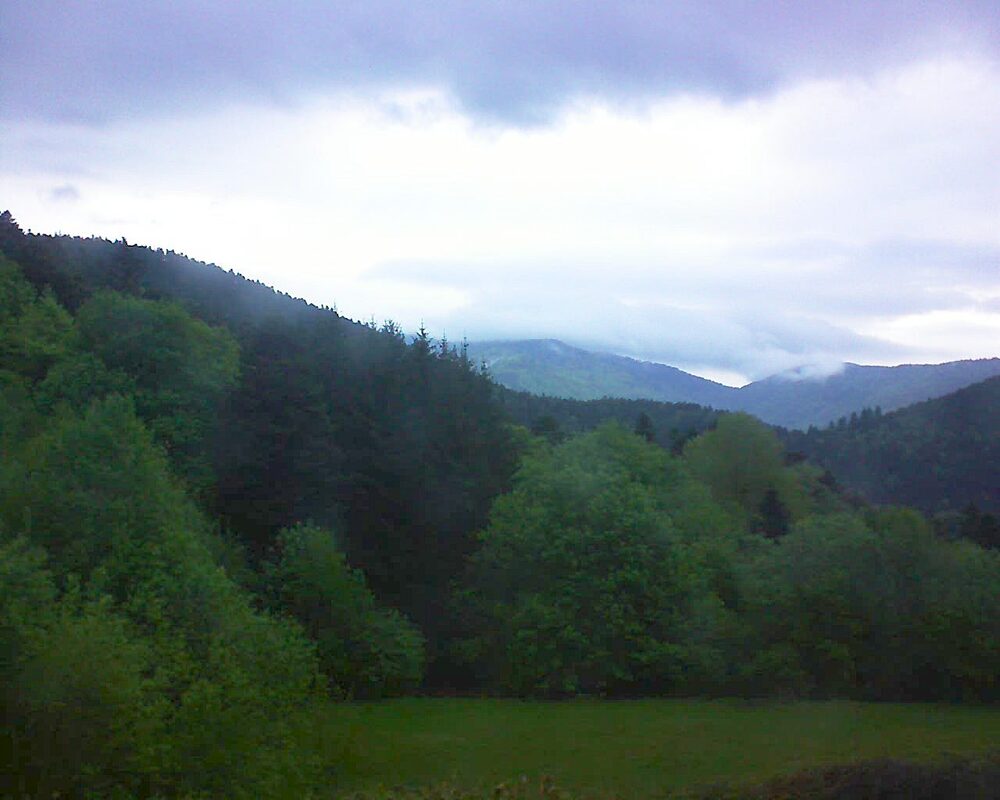 Le petit ballon (Alsace, Vosges) le 05.05.2025 à 07:30