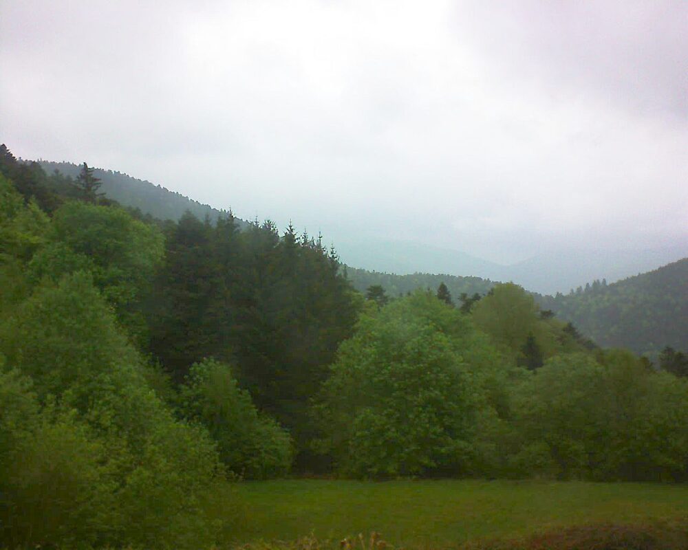 Le petit ballon (Alsace, Vosges) le 05.05.2025 à 16:45