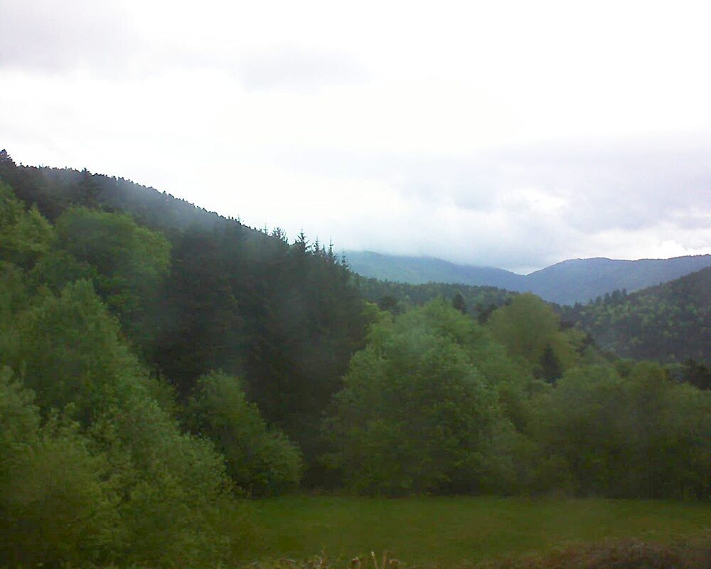 Le petit ballon (Alsace, Vosges) le 06.05.2025 à 07:30