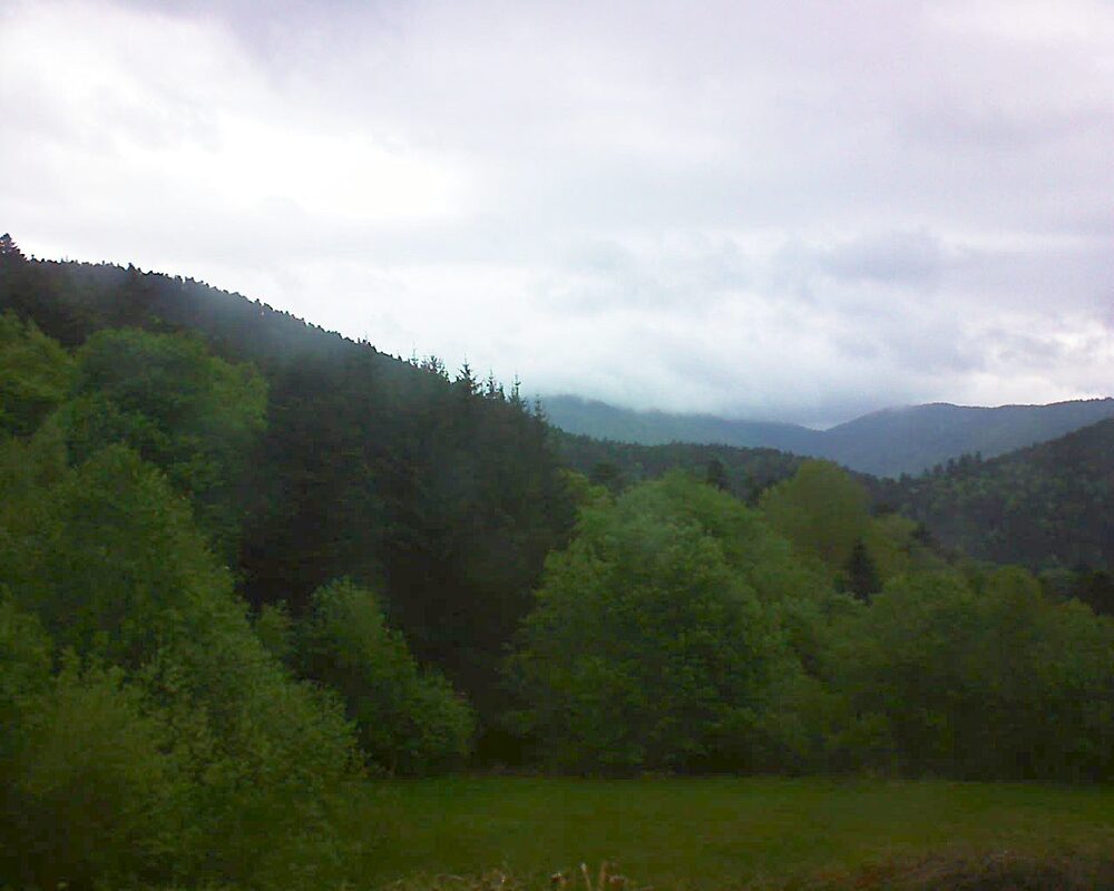 Le petit ballon (Alsace, Vosges) le 06.05.2025 à 07:45
