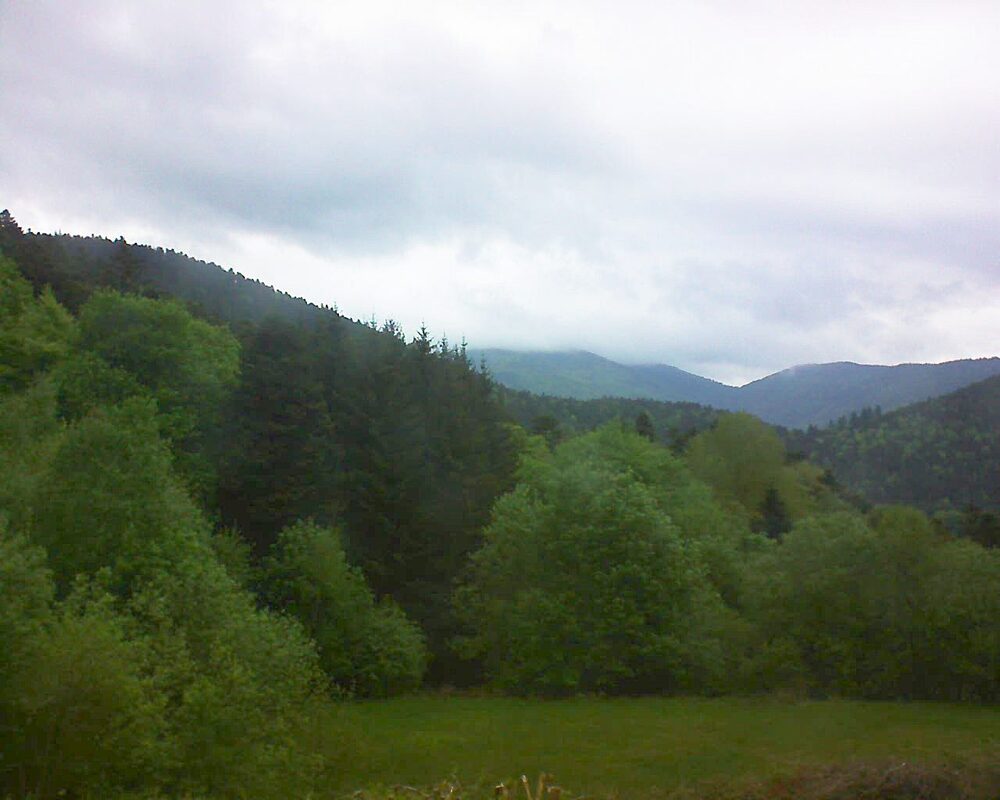 Le petit ballon (Alsace, Vosges) le 06.05.2025 à 08:15