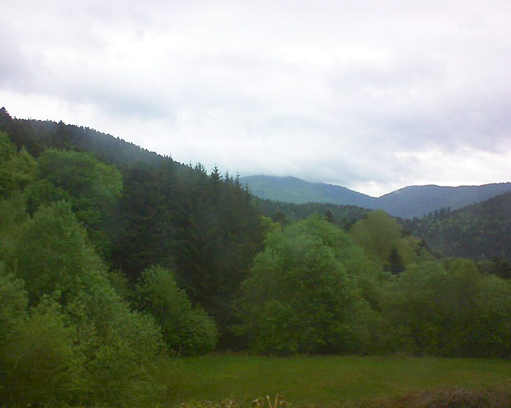 Le petit ballon (Alsace, Vosges) le 06.05.2025 à 08:30