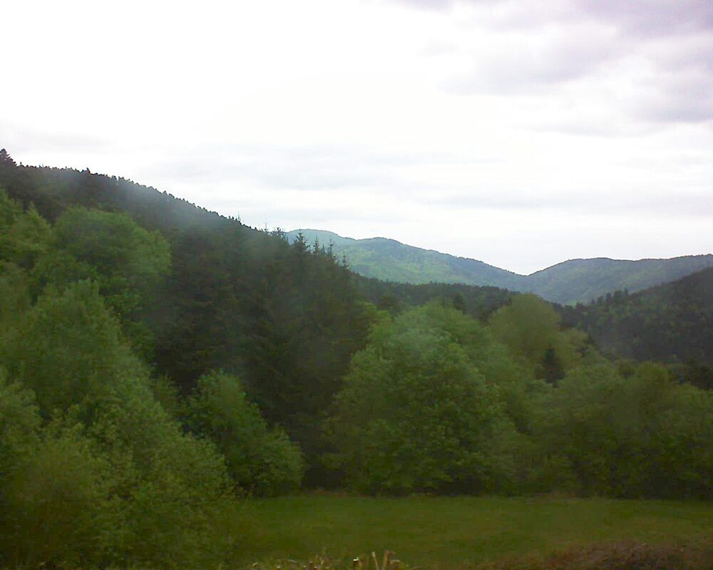 Le petit ballon (Alsace, Vosges) le 06.05.2025 à 17:30
