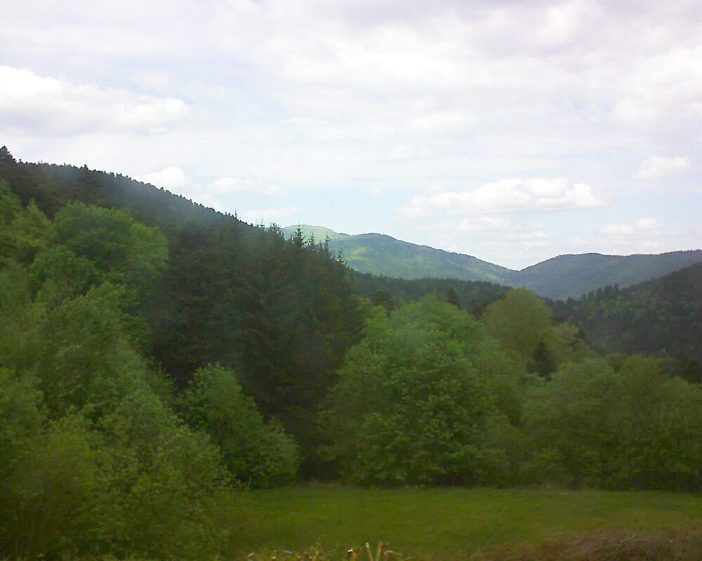 Le petit ballon vu depuis le Domaine Langmatt à Murbach le 07.05.2025 à 14:45 Le petit ballon (Alsace, Vosges) le 07.05.2025 à 14:45
