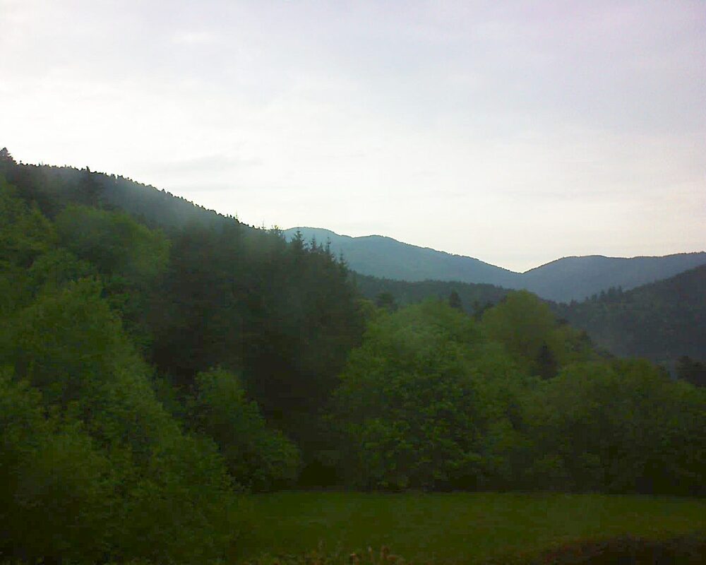 Le petit ballon (Alsace, Vosges) le 08.05.2025 à 19:30