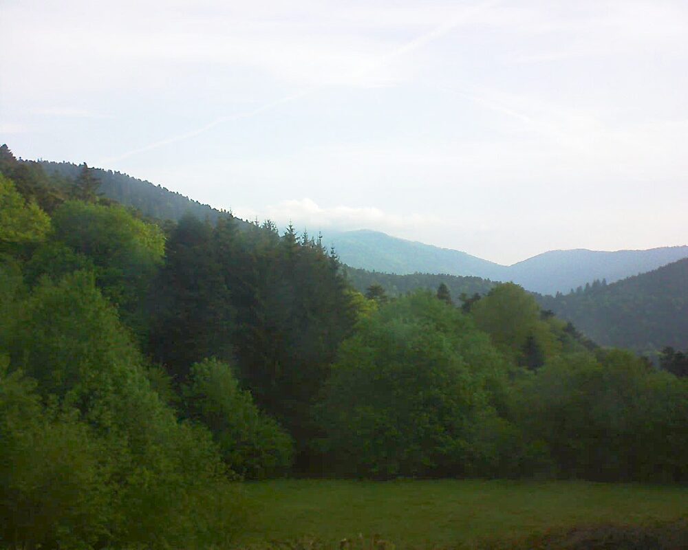 Le petit ballon (Alsace, Vosges) le 09.05.2025 à 07:30