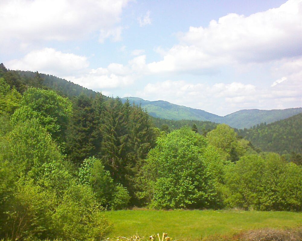 Le petit ballon vu depuis le Domaine Langmatt à Murbach le 09.05.2025 à 14:45 Le petit ballon (Alsace, Vosges) le 09.05.2025 à 14:45