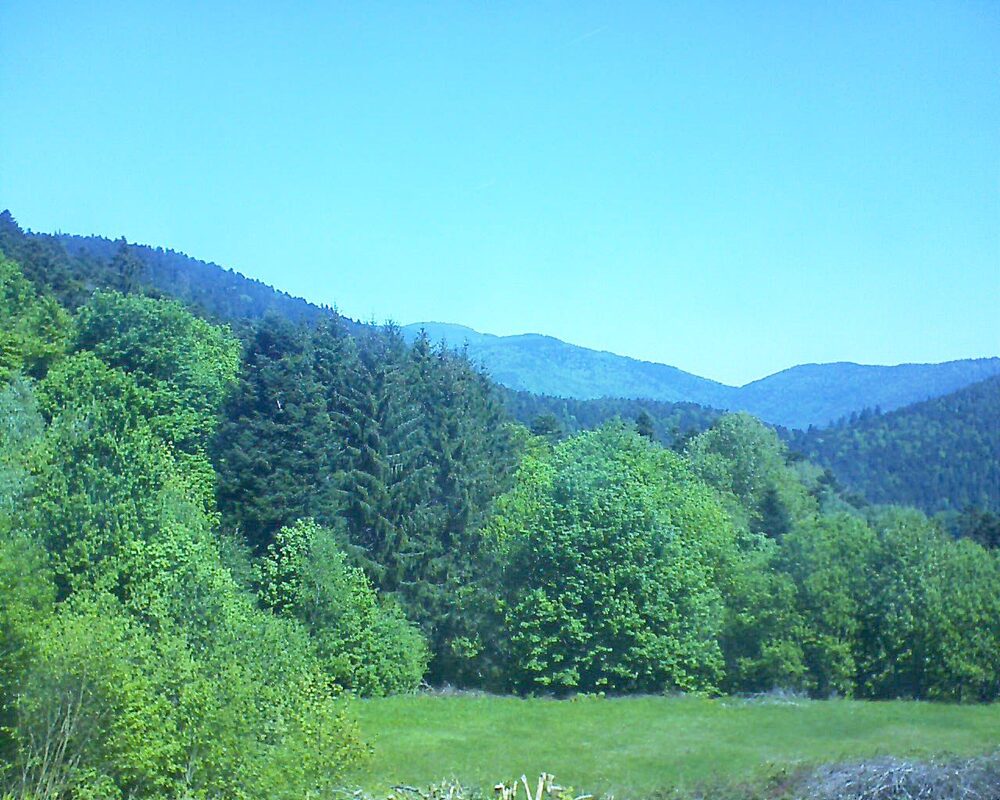 Le petit ballon vu depuis le Domaine Langmatt à Murbach le 10.05.2025 à 11:45 Le petit ballon (Alsace, Vosges) le 10.05.2025 à 11:45