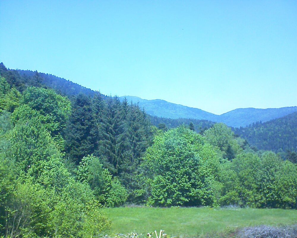 Le petit ballon vu depuis le Domaine Langmatt à Murbach le 10.05.2025 à 13:30 Le petit ballon (Alsace, Vosges) le 10.05.2025 à 13:30