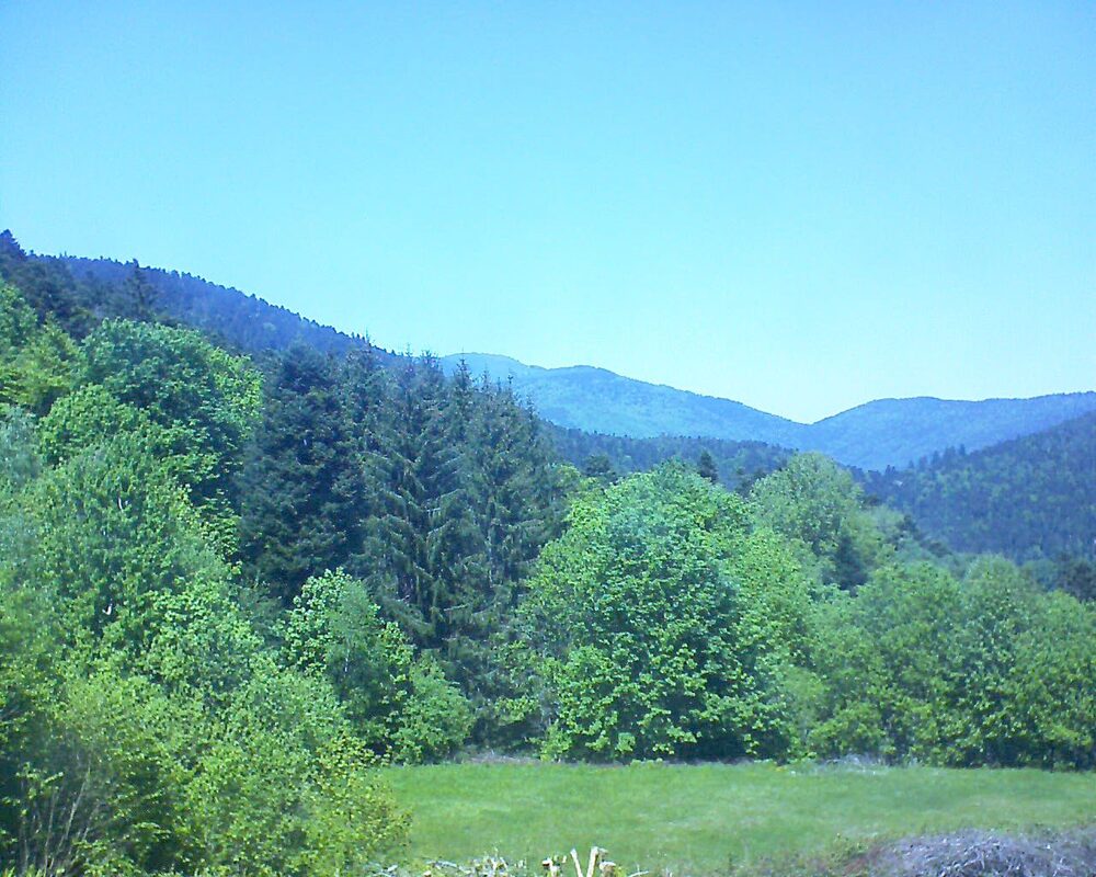 Le petit ballon vu depuis le Domaine Langmatt à Murbach le 10.05.2025 à 13:45 Le petit ballon (Alsace, Vosges) le 10.05.2025 à 13:45