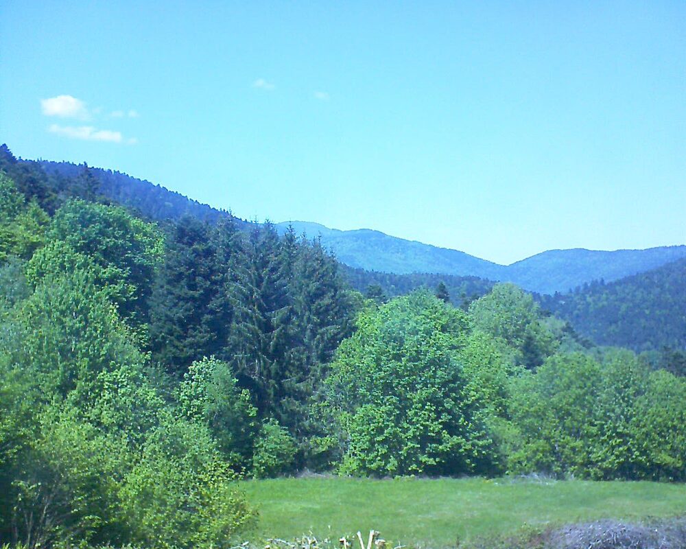 Le petit ballon vu depuis le Domaine Langmatt à Murbach le 10.05.2025 à 14:30 Le petit ballon (Alsace, Vosges) le 10.05.2025 à 14:30