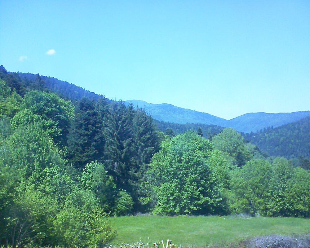 Le petit ballon vu depuis le Domaine Langmatt à Murbach le 10.05.2025 à 14:45 Le petit ballon (Alsace, Vosges) le 10.05.2025 à 14:45