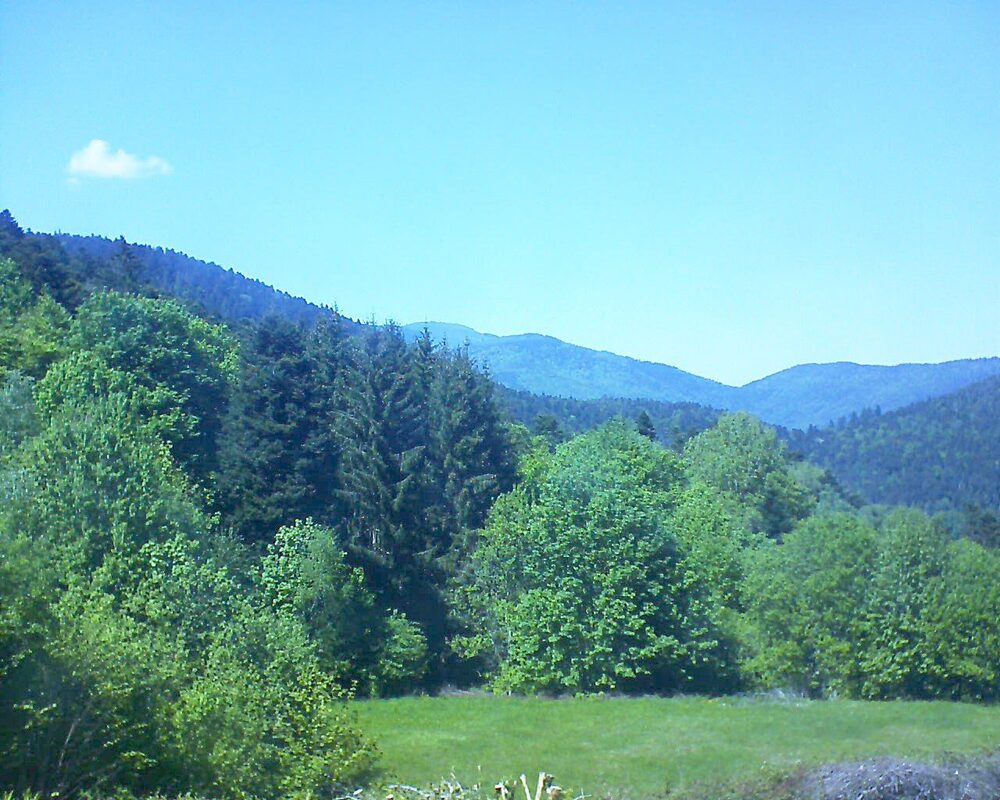 Le petit ballon vu depuis le Domaine Langmatt à Murbach le 10.05.2025 à 15:00 Le petit ballon (Alsace, Vosges) le 10.05.2025 à 15:00