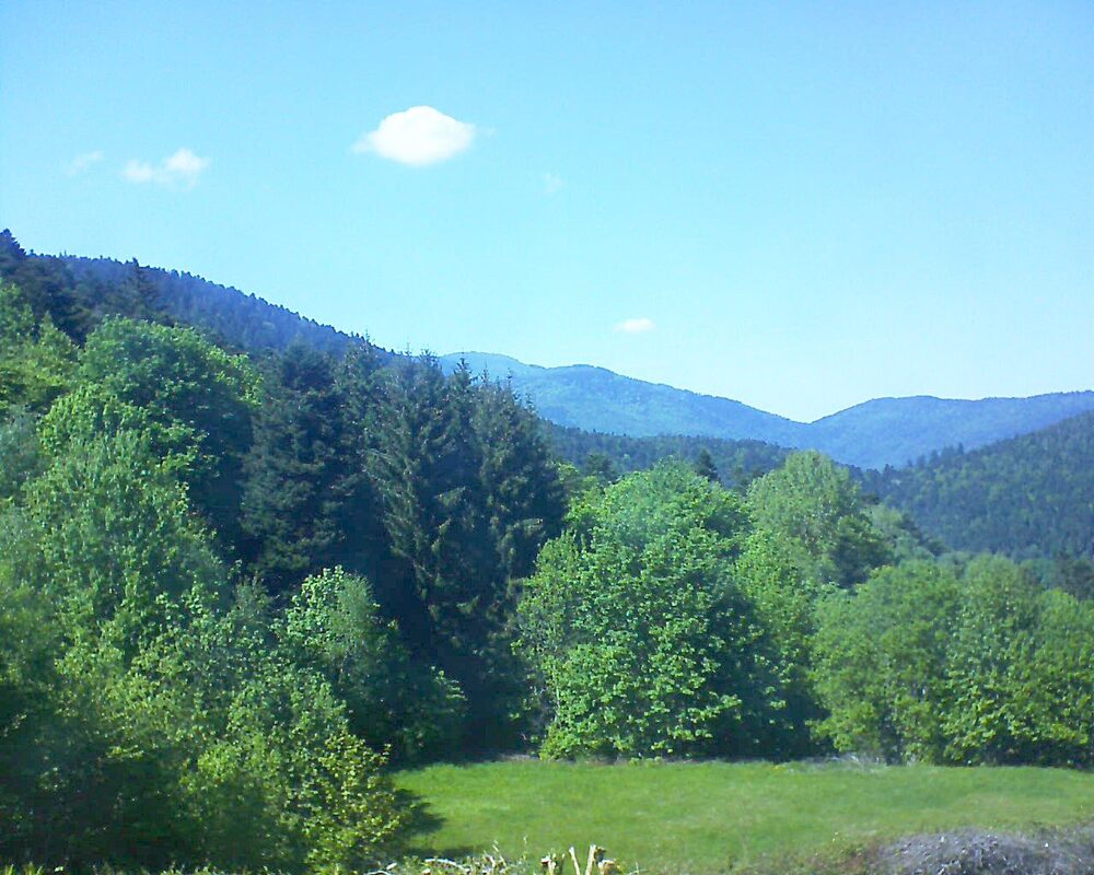 Le petit ballon vu depuis le Domaine Langmatt à Murbach le 10.05.2025 à 15:45 Le petit ballon (Alsace, Vosges) le 10.05.2025 à 15:45
