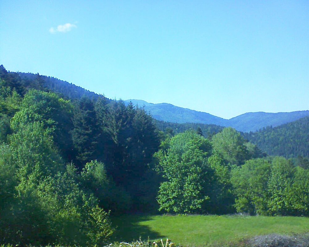 Le petit ballon vu depuis le Domaine Langmatt à Murbach le 10.05.2025 à 16:45 Le petit ballon (Alsace, Vosges) le 10.05.2025 à 16:45