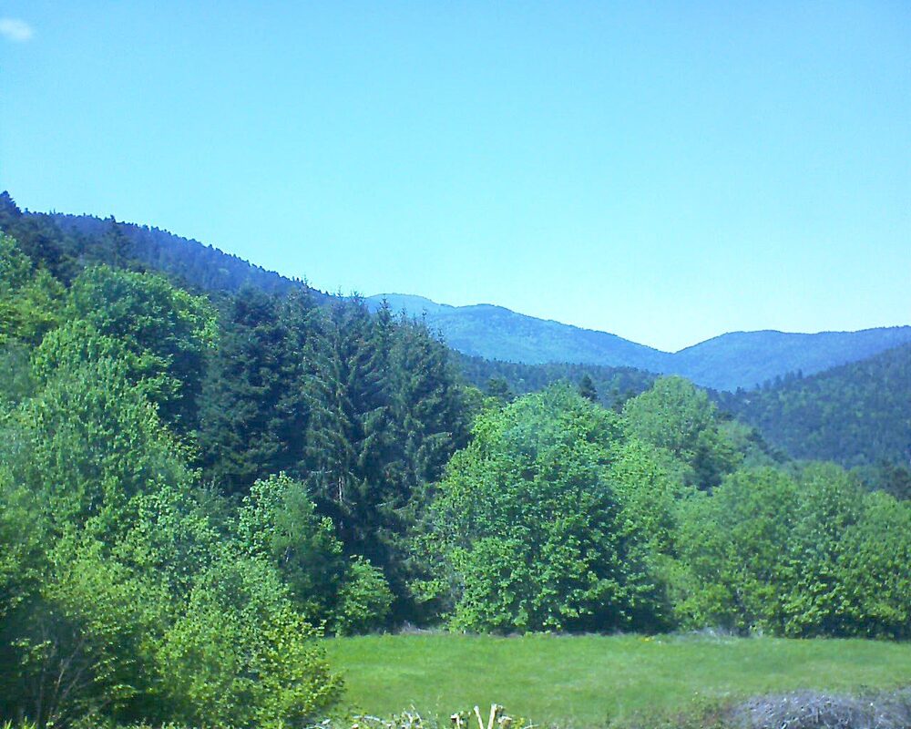 Le petit ballon vu depuis le Domaine Langmatt à Murbach le 11.05.2025 à 14:45 Le petit ballon (Alsace, Vosges) le 11.05.2025 à 14:45