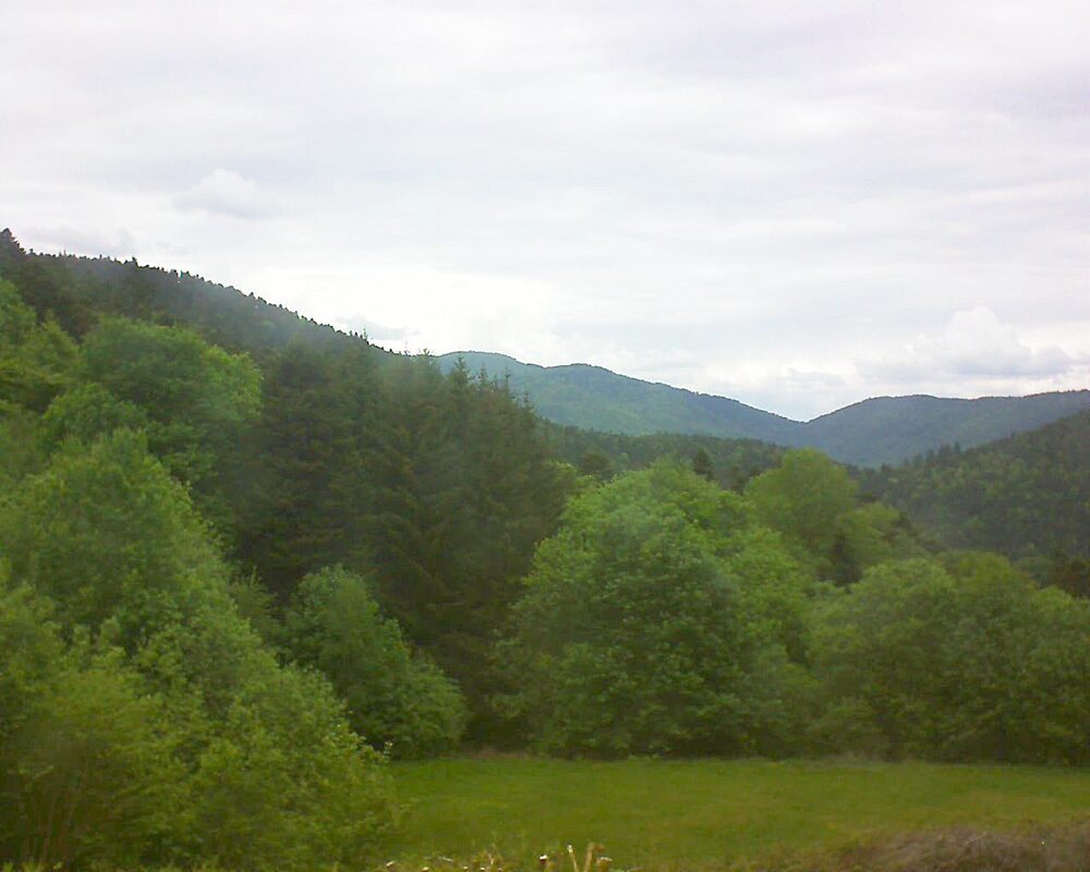Le petit ballon vu depuis le Domaine Langmatt à Murbach le 12.05.2025 à 14:45 Le petit ballon (Alsace, Vosges) le 12.05.2025 à 14:45