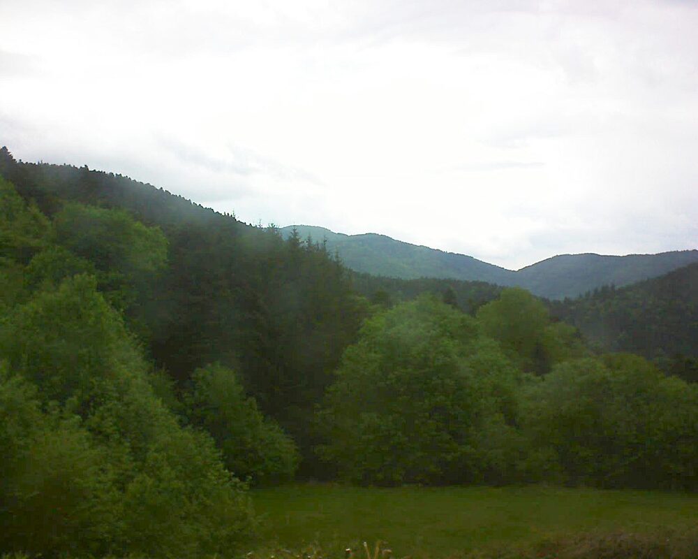 Le petit ballon (Alsace, Vosges) le 12.05.2025 à 16:45