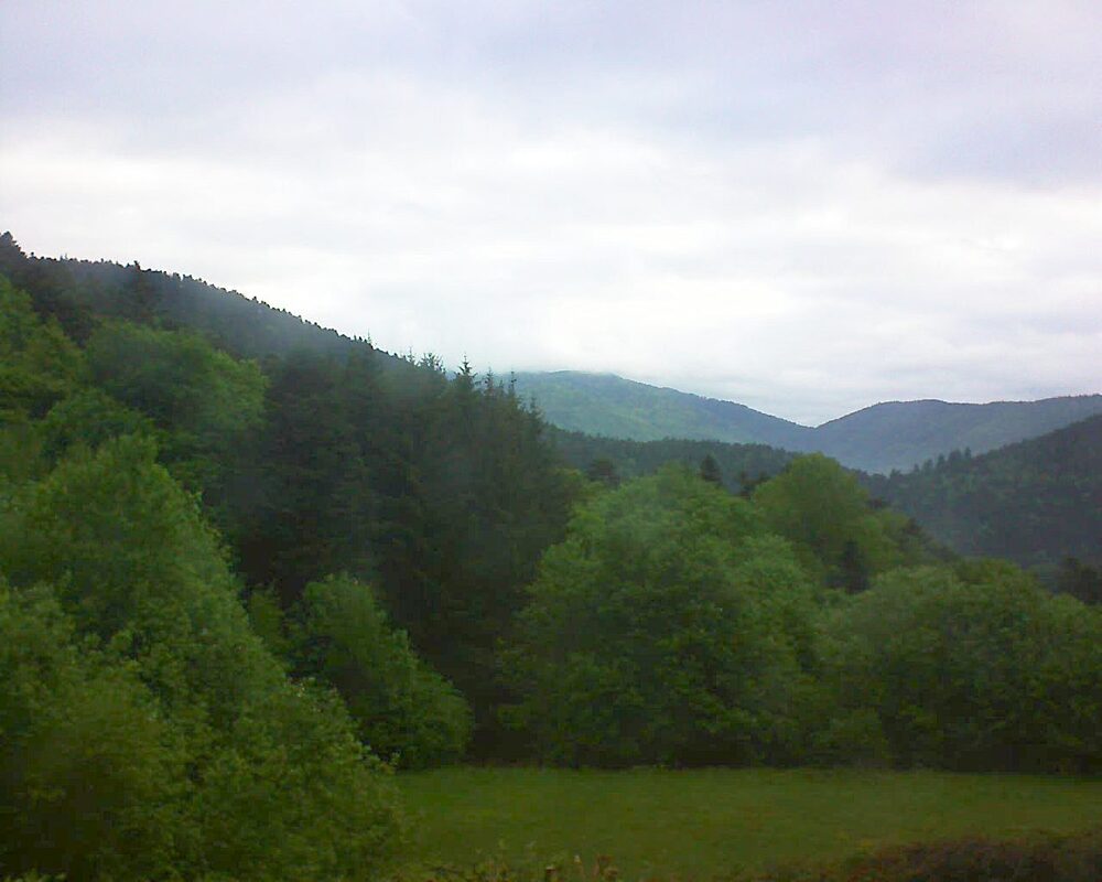 Le petit ballon (Alsace, Vosges) le 13.05.2025 à 07:30