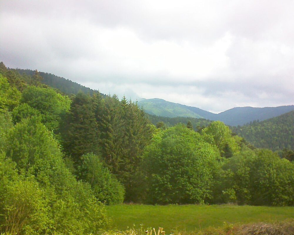 Le petit ballon vu depuis le Domaine Langmatt à Murbach le 13.05.2025 à 10:15 Le petit ballon (Alsace, Vosges) le 13.05.2025 à 10:15