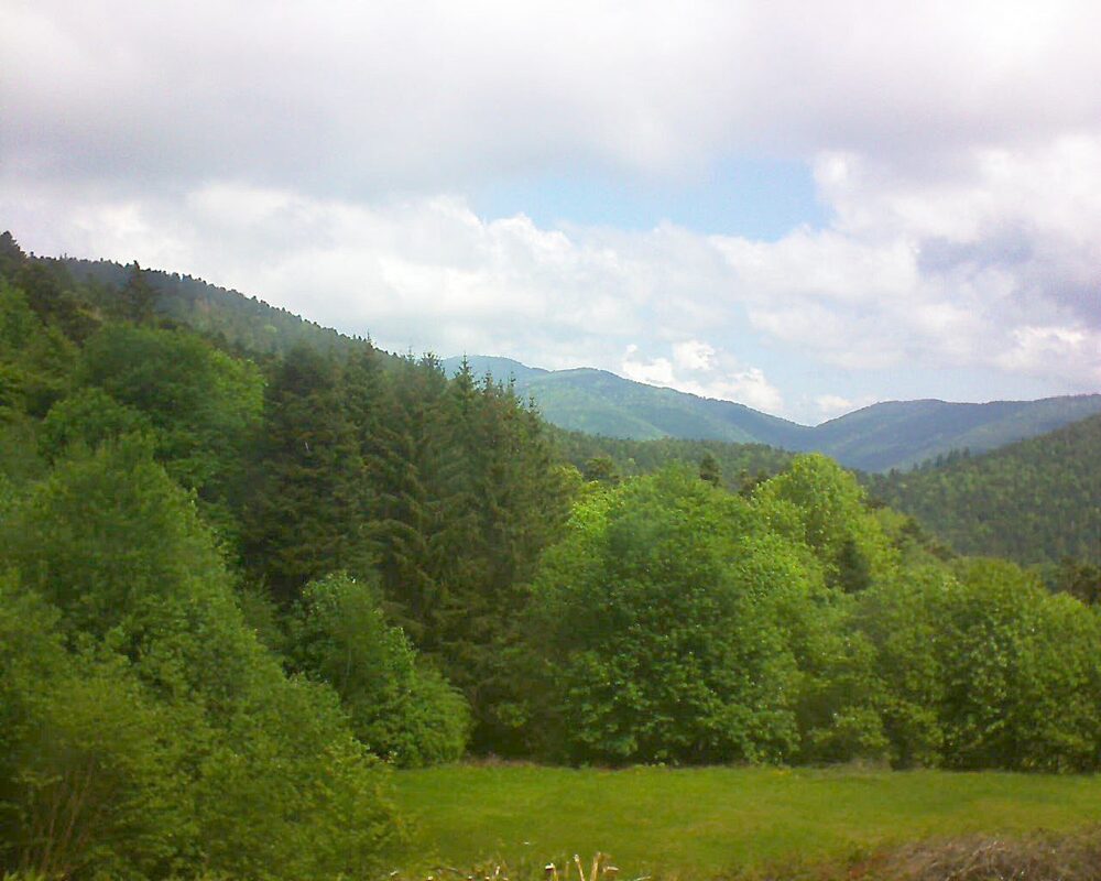 Le petit ballon vu depuis le Domaine Langmatt à Murbach le 13.05.2025 à 11:45 Le petit ballon (Alsace, Vosges) le 13.05.2025 à 11:45
