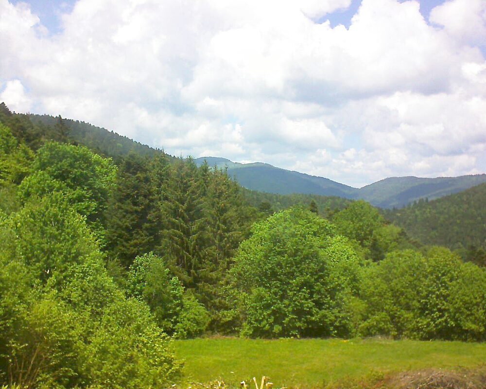 Le petit ballon vu depuis le Domaine Langmatt à Murbach le 13.05.2025 à 13:45 Le petit ballon (Alsace, Vosges) le 13.05.2025 à 13:45