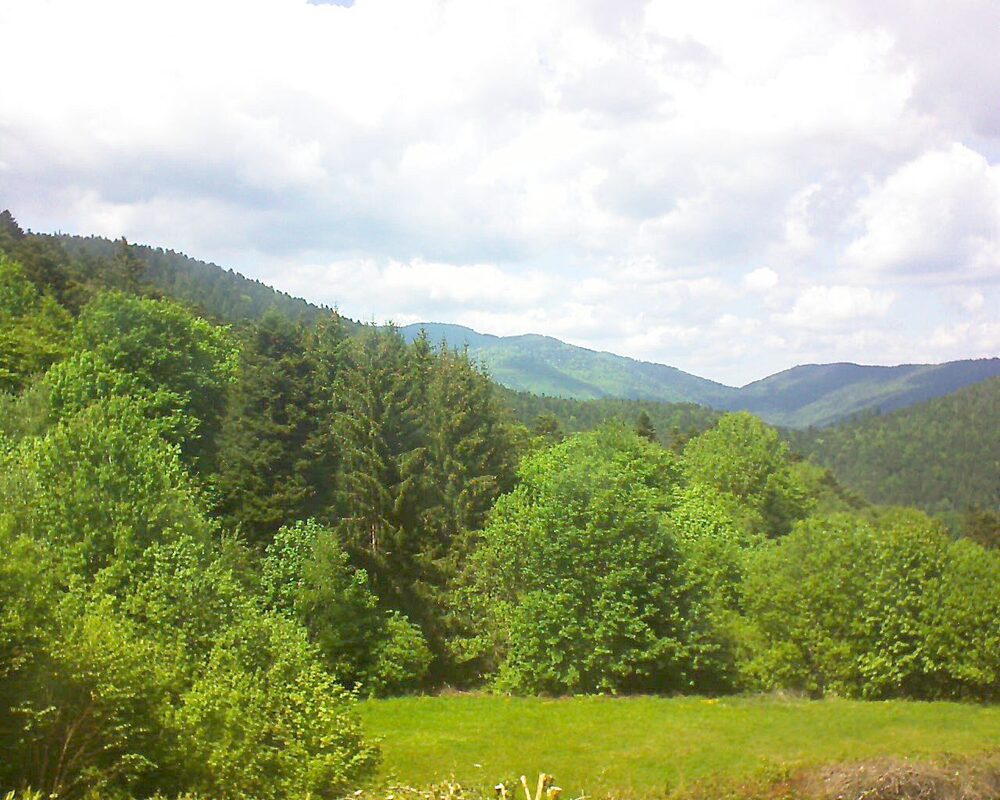 Le petit ballon vu depuis le Domaine Langmatt à Murbach le 13.05.2025 à 14:45 Le petit ballon (Alsace, Vosges) le 13.05.2025 à 14:45