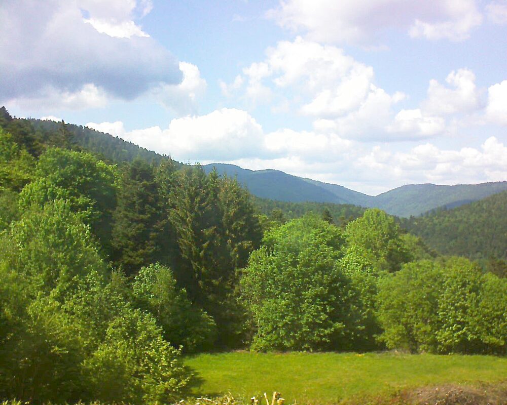 Le petit ballon vu depuis le Domaine Langmatt à Murbach le 13.05.2025 à 15:45 Le petit ballon (Alsace, Vosges) le 13.05.2025 à 15:45