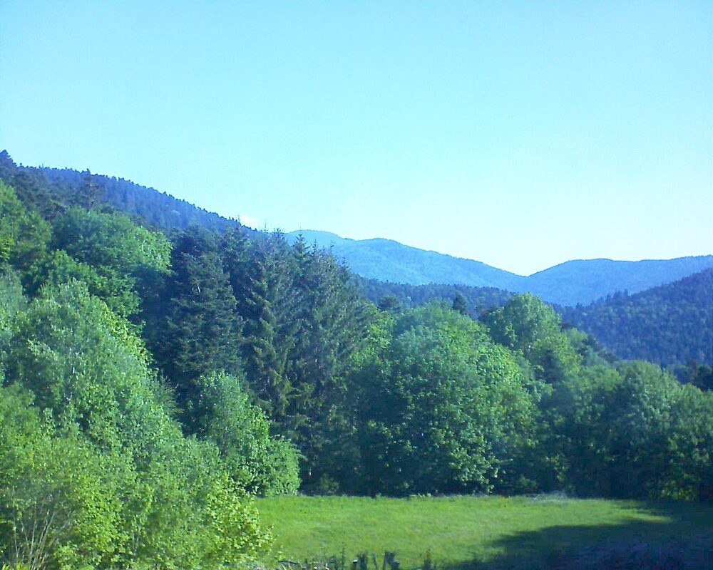 Le petit ballon (Alsace, Vosges) le 14.05.2025 à 09:15