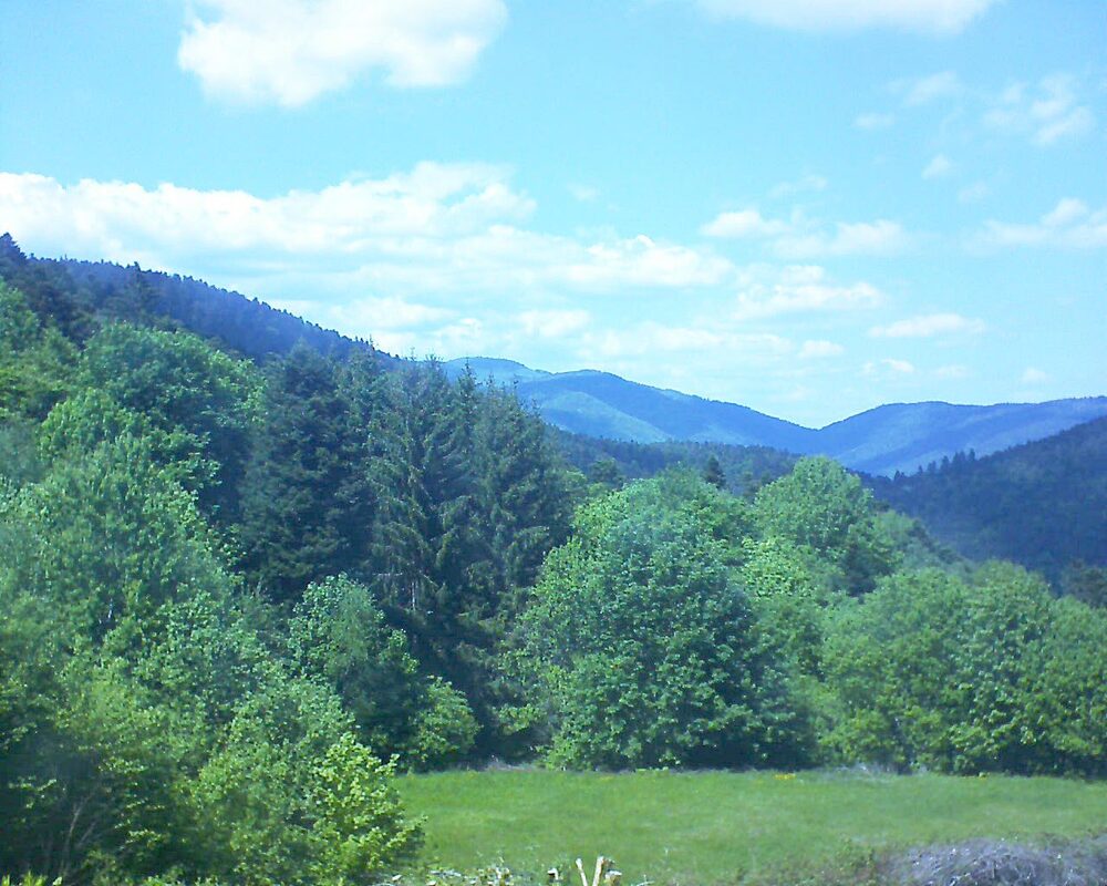 Le petit ballon vu depuis le Domaine Langmatt à Murbach le 14.05.2025 à 14:45 Le petit ballon (Alsace, Vosges) le 14.05.2025 à 14:45