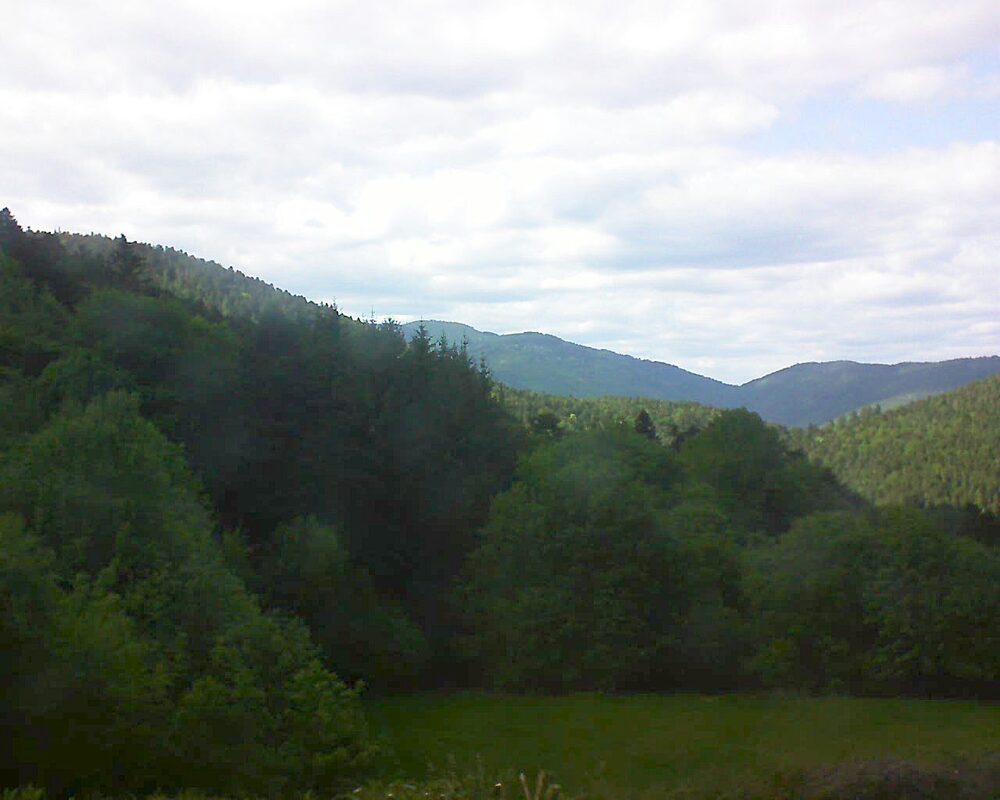 Le petit ballon vu depuis le Domaine Langmatt à Murbach le 16.05.2025 à 16:45 Le petit ballon (Alsace, Vosges) le 16.05.2025 à 16:45