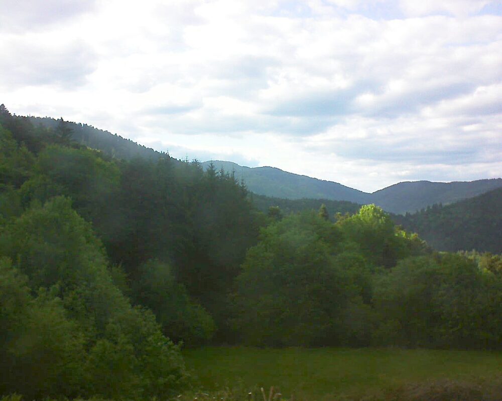 Le petit ballon (Alsace, Vosges) le 16.05.2025 à 18:45
