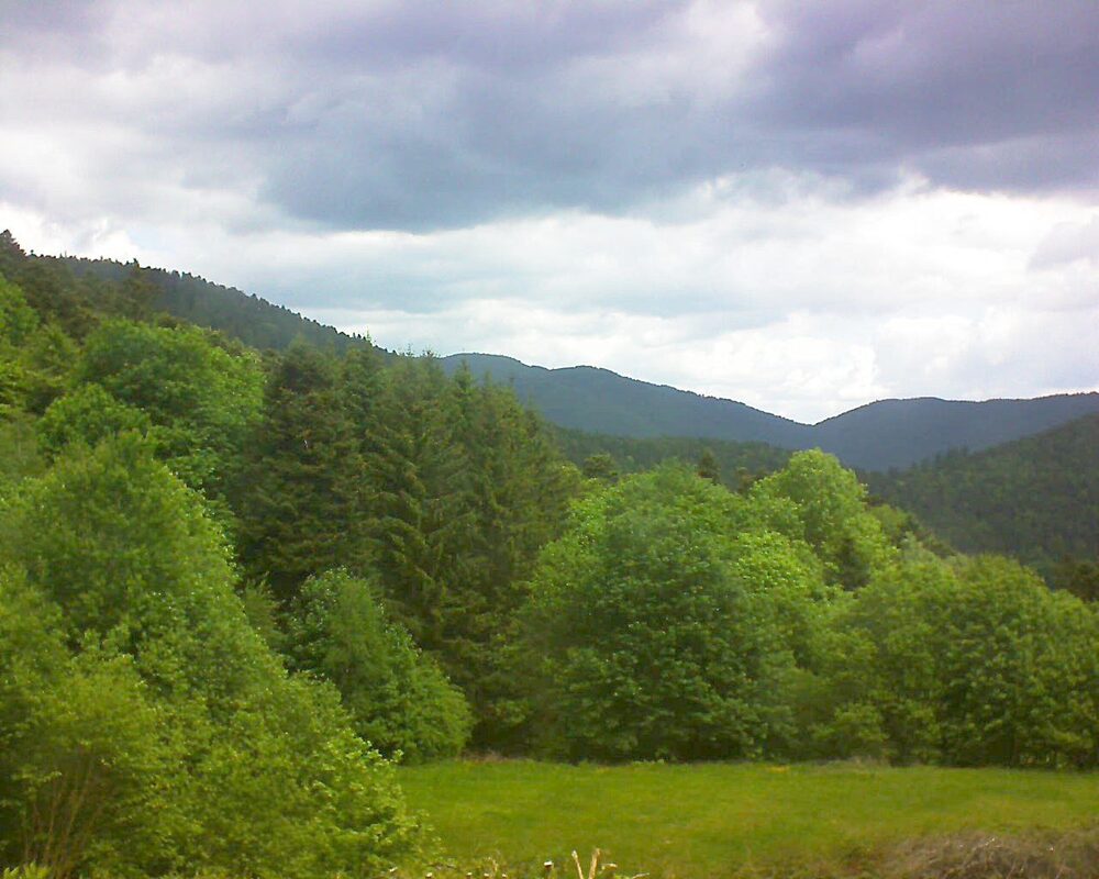Le petit ballon vu depuis le Domaine Langmatt à Murbach le 17.05.2025 à 11:45 Le petit ballon (Alsace, Vosges) le 17.05.2025 à 11:45