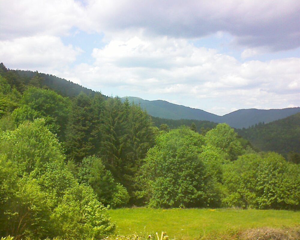 Le petit ballon vu depuis le Domaine Langmatt à Murbach le 18.05.2025 à 14:45 Le petit ballon (Alsace, Vosges) le 18.05.2025 à 14:45