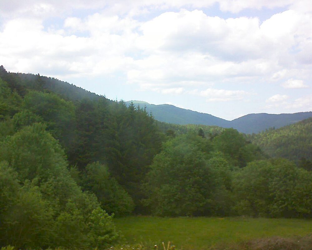 Le petit ballon (Alsace, Vosges) le 18.05.2025 à 16:45