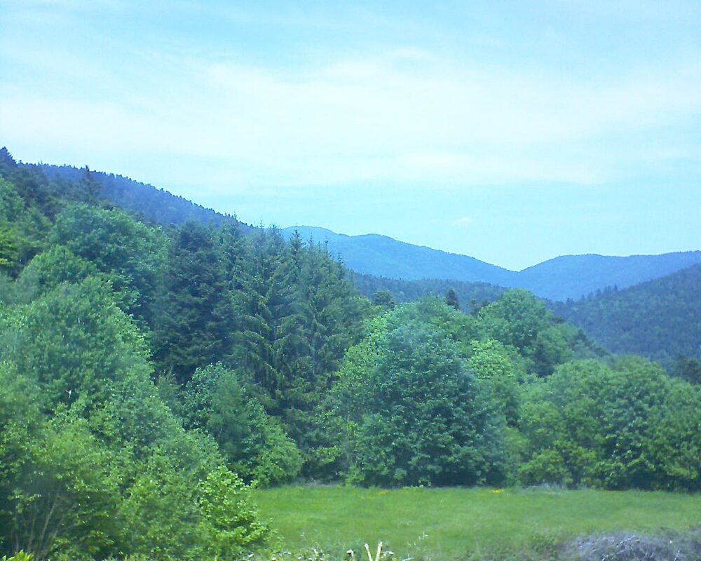 Le petit ballon (Alsace, Vosges) le 19.05.2025 à 13:45