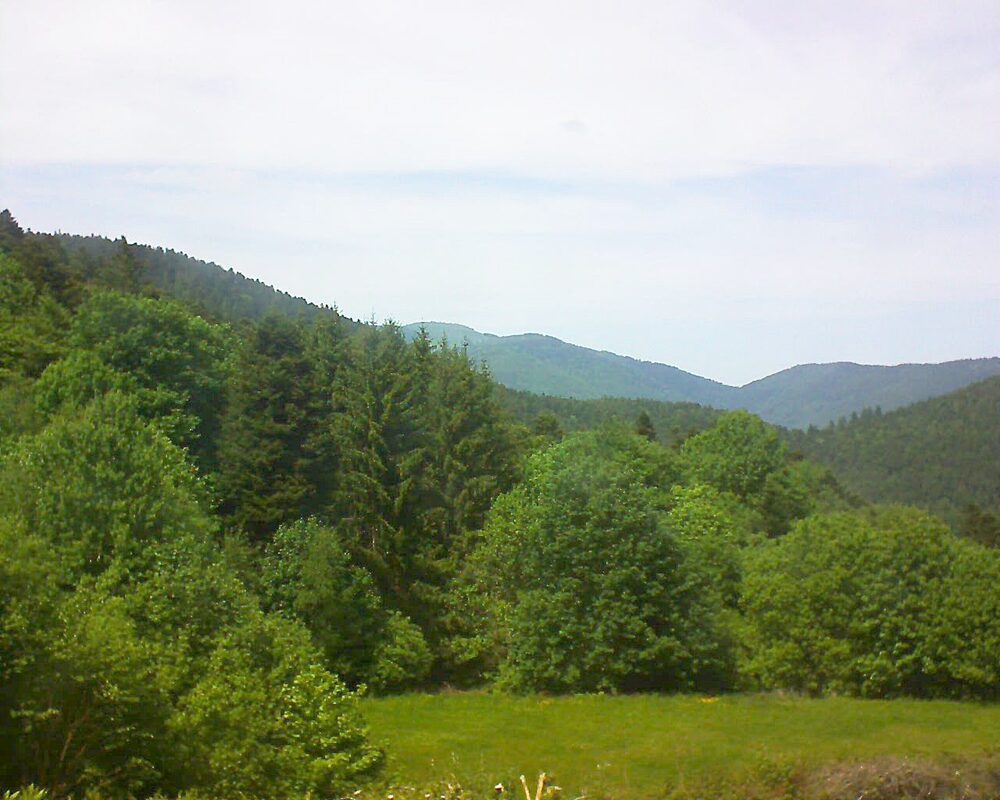 Le petit ballon vu depuis le Domaine Langmatt à Murbach le 19.05.2025 à 14:45 Le petit ballon (Alsace, Vosges) le 19.05.2025 à 14:45