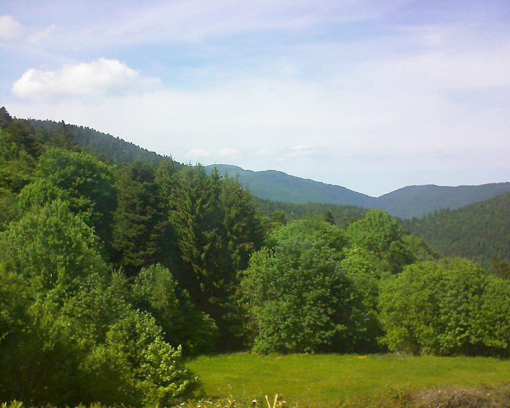 Le petit ballon (Alsace, Vosges) le 19.05.2025 à 15:45