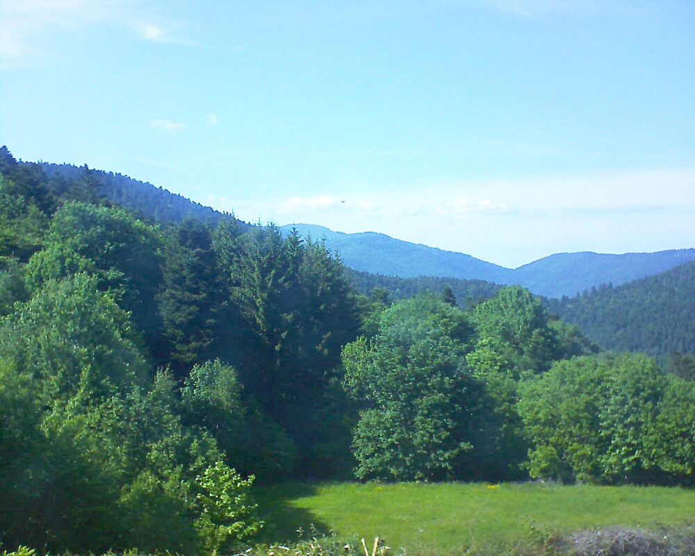 Le petit ballon vu depuis le Domaine Langmatt à Murbach le 19.05.2025 à 16:30 Le petit ballon (Alsace, Vosges) le 19.05.2025 à 16:30