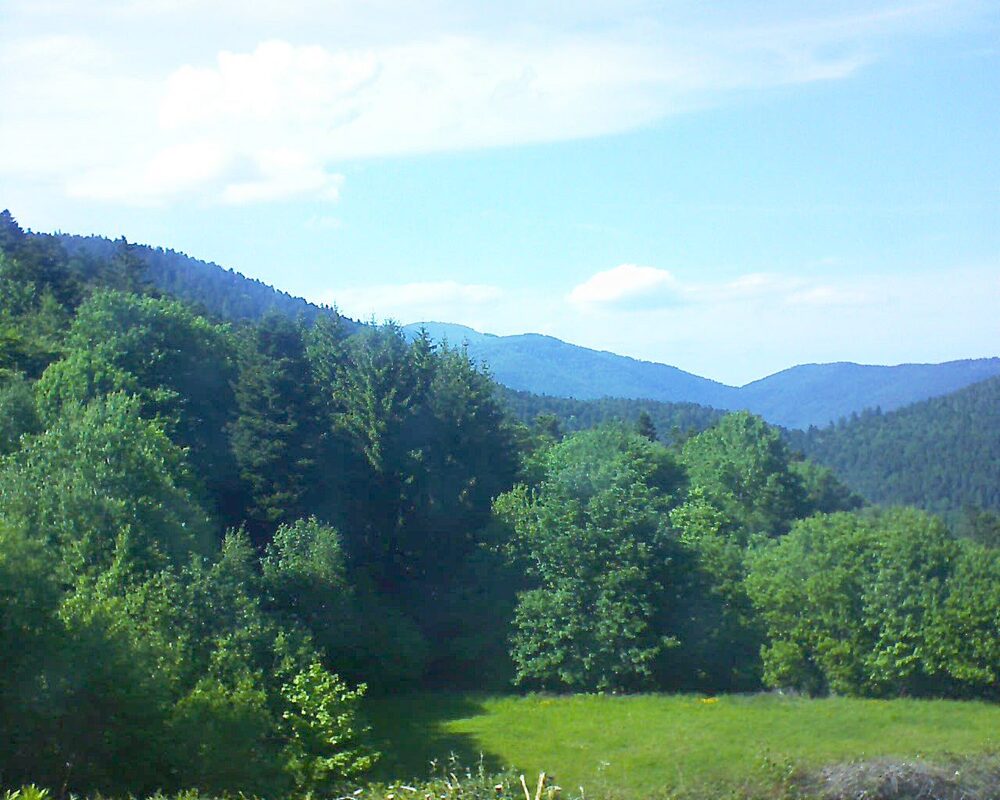 Le petit ballon vu depuis le Domaine Langmatt à Murbach le 19.05.2025 à 16:45 Le petit ballon (Alsace, Vosges) le 19.05.2025 à 16:45