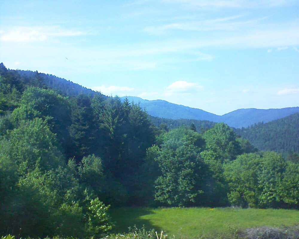 Le petit ballon (Alsace, Vosges) le 19.05.2025 à 17:00