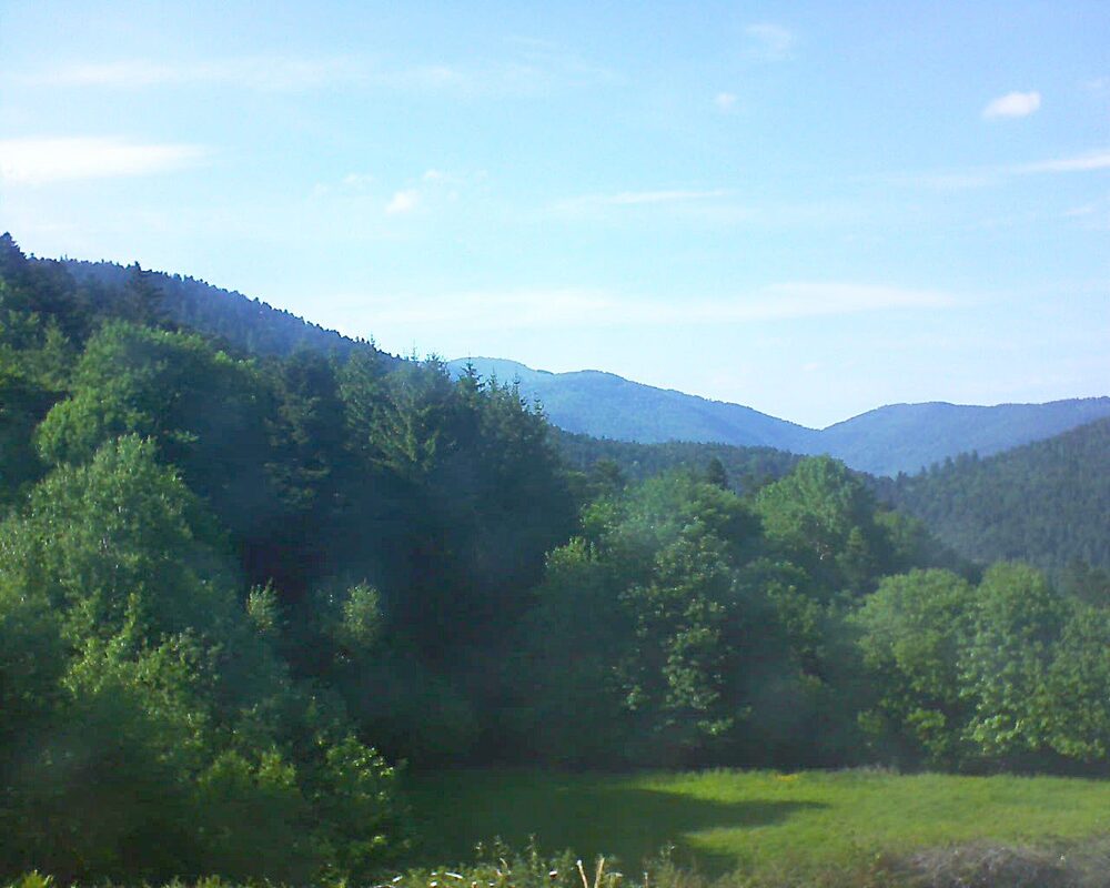 Le petit ballon (Alsace, Vosges) le 19.05.2025 à 17:45