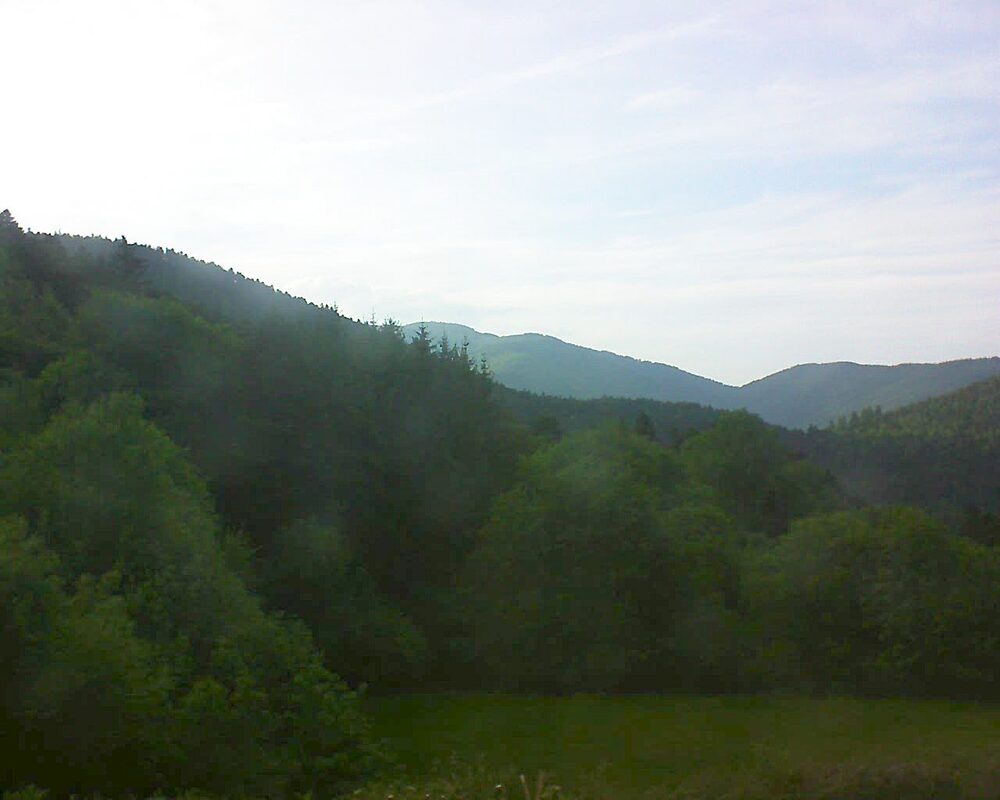 Le petit ballon (Alsace, Vosges) le 19.05.2025 à 19:45