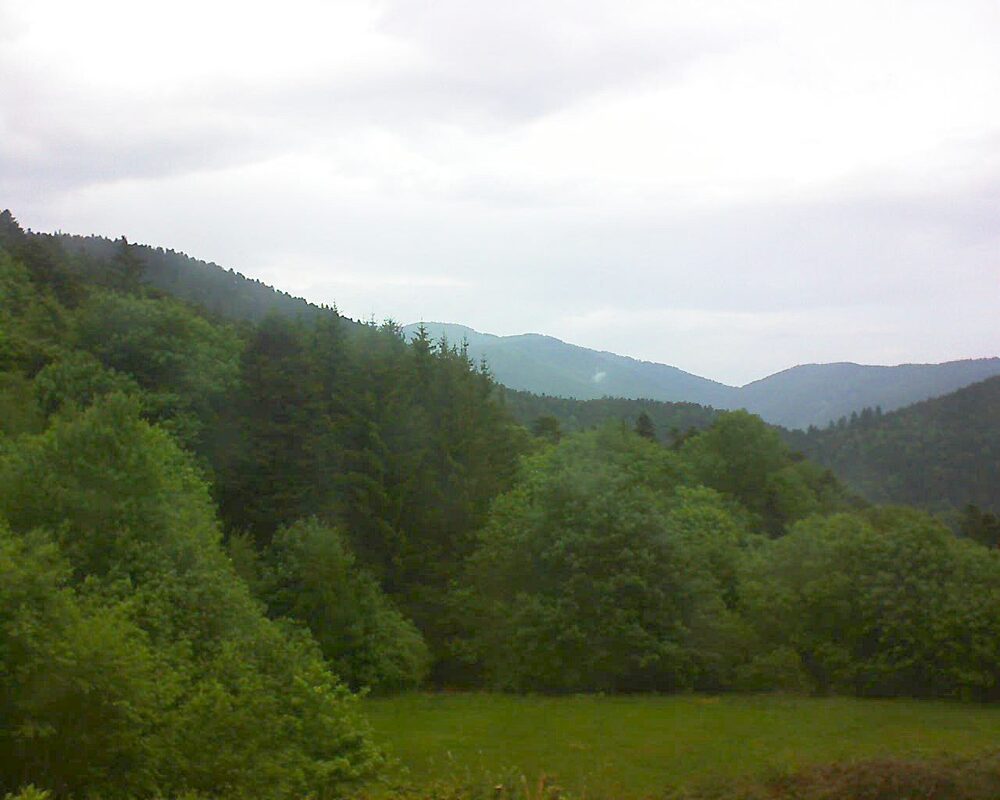 Le petit ballon vu depuis le Domaine Langmatt à Murbach le 20.05.2025 à 14:45 Le petit ballon (Alsace, Vosges) le 20.05.2025 à 14:45