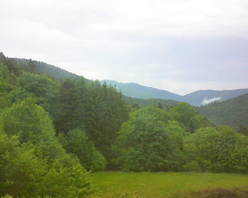 Le petit ballon (Alsace, Vosges) le 20.05.2025 à 16:45