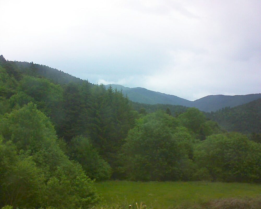 Le petit ballon (Alsace, Vosges) le 21.05.2025 à 20:30